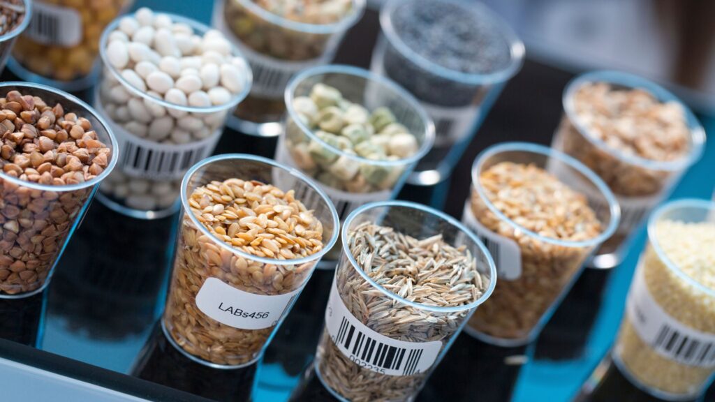 Why Quality Control is the Cornerstone of Kenyan Agricultural Exports